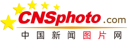 莽小五上树