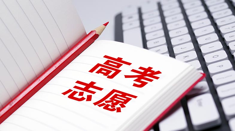 龚琳娜离婚