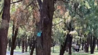 8848在线播放免费观看电视剧东西向洞