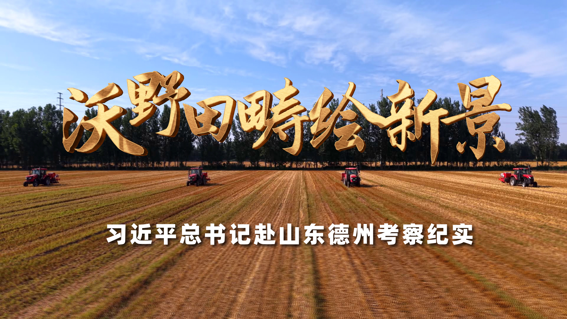洪承汉退队