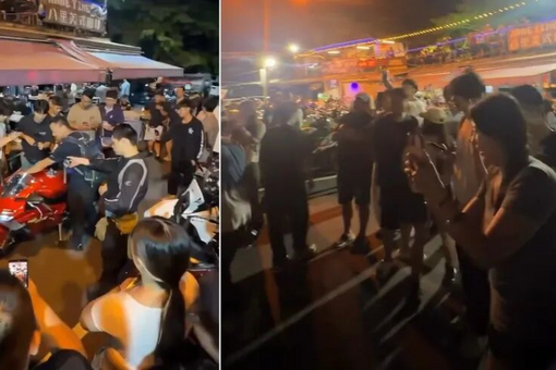 杭州网红柿子树因长太好被质疑