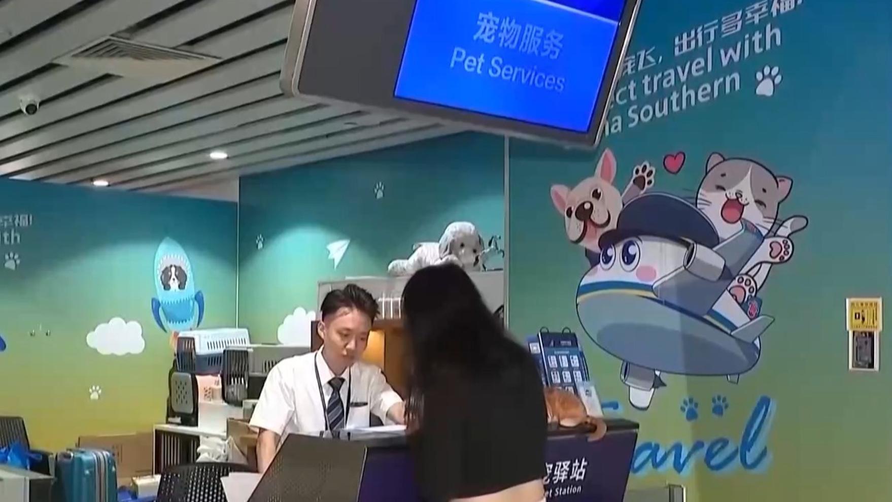 杭州网红柿子树因长太好被质疑