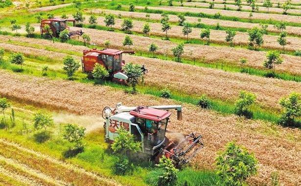 去年1月至今年5月,全国检察机关对毒品案件提出二审和再审抗诉300余件