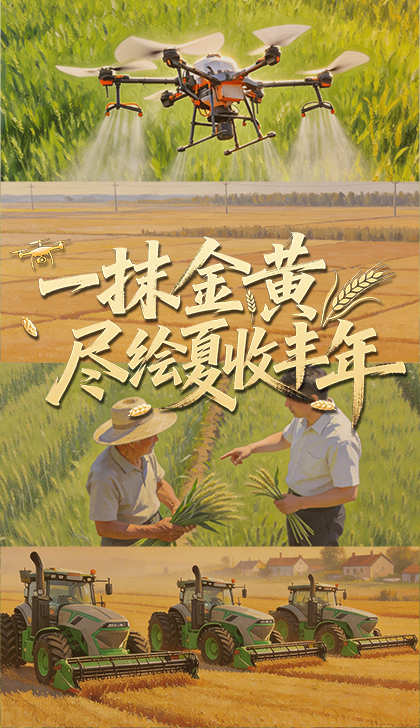 三级片电影整战犯