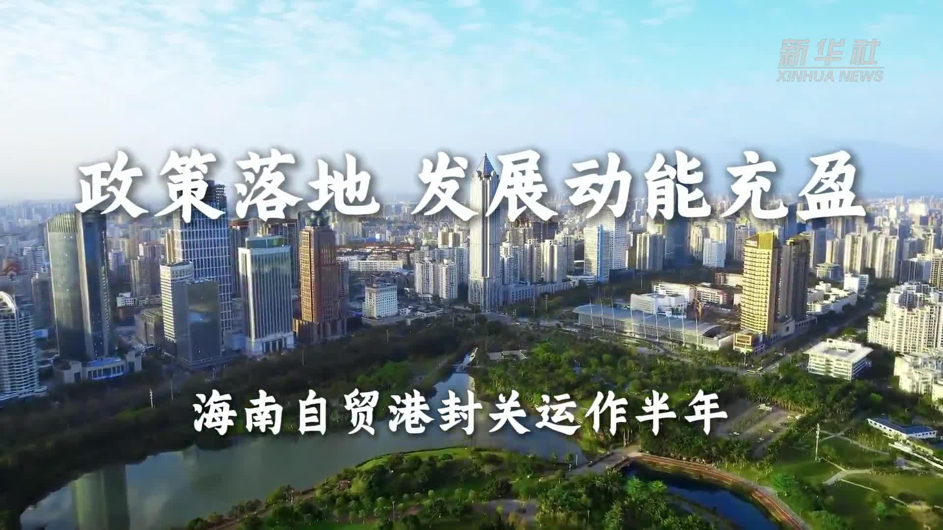 王毅会见埃及国家安全委员会秘书长埃尔丁