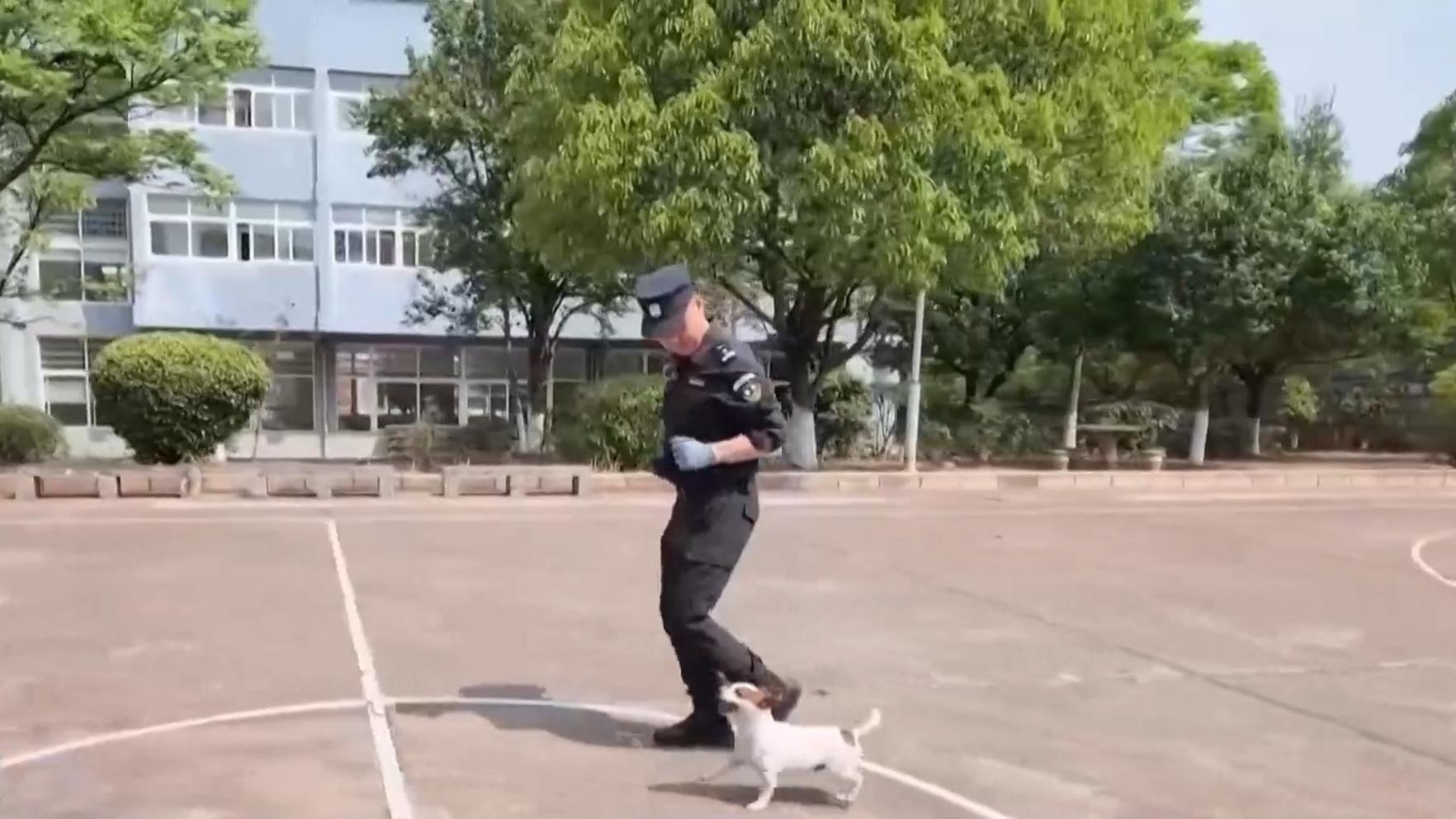 总书记对常态化做好东西部协作工作重要指示催人奋进