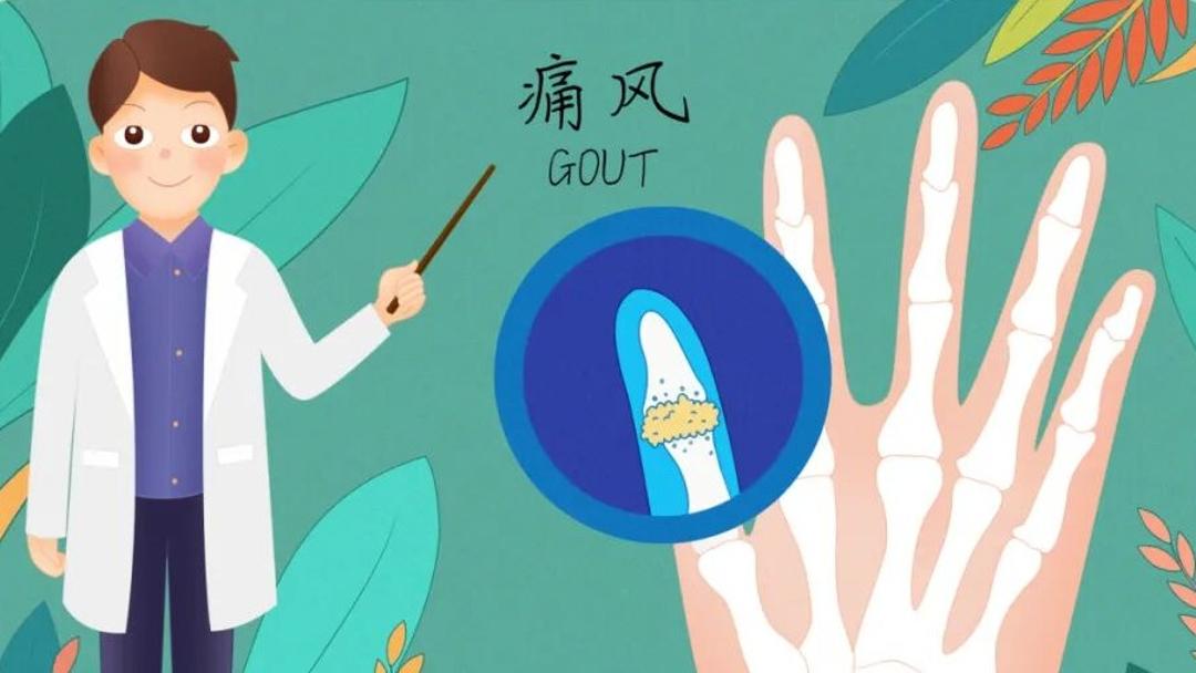 首次回收星舰成功