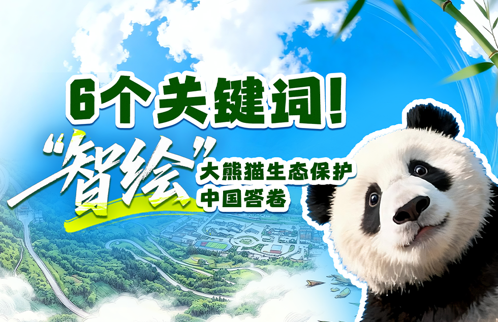 和独库公路约好明年再见