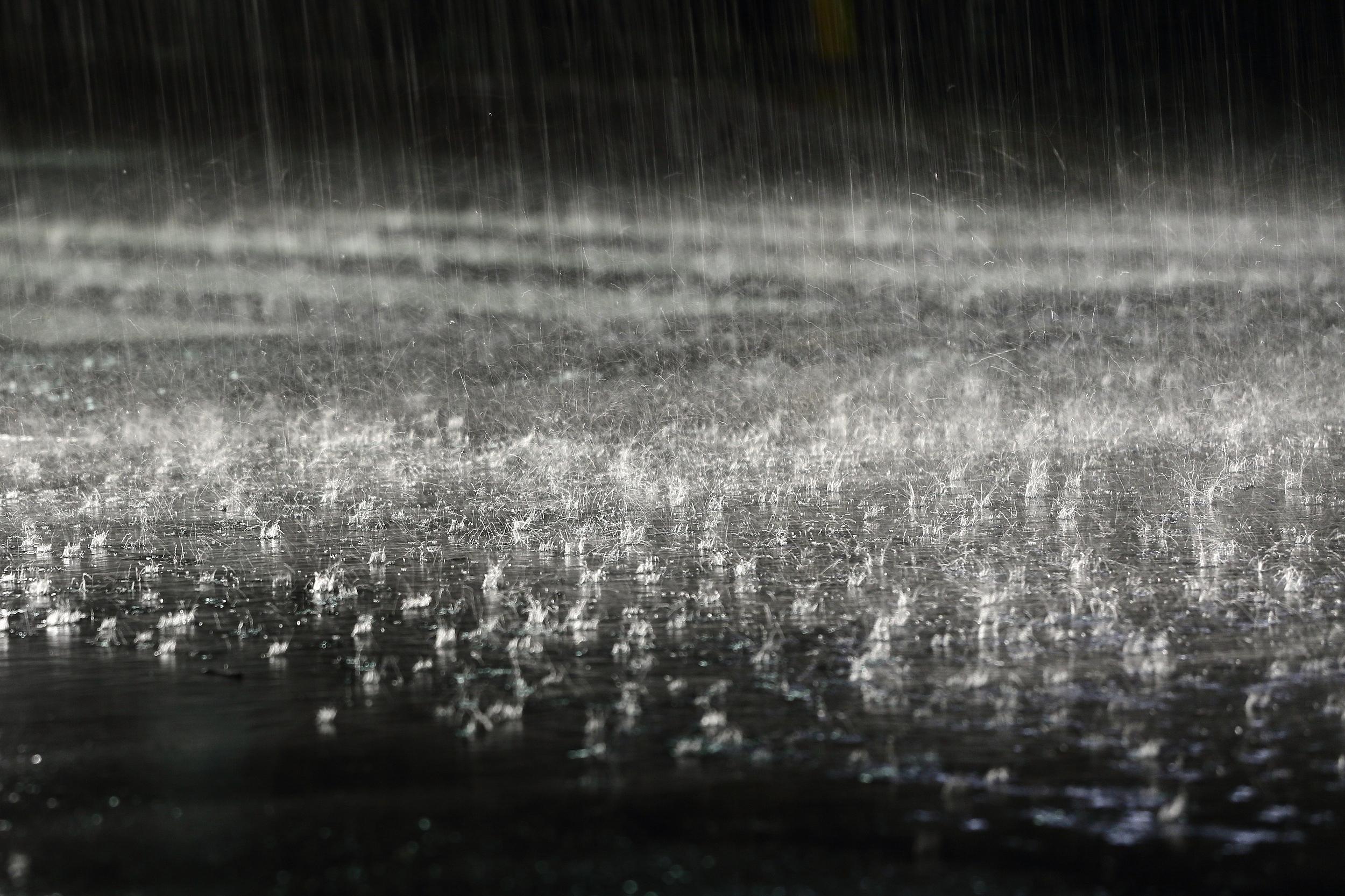 全国政协十四届常委会第十七次会议举行全体会议 围绕“坚持高质量发展，推动经济持续
