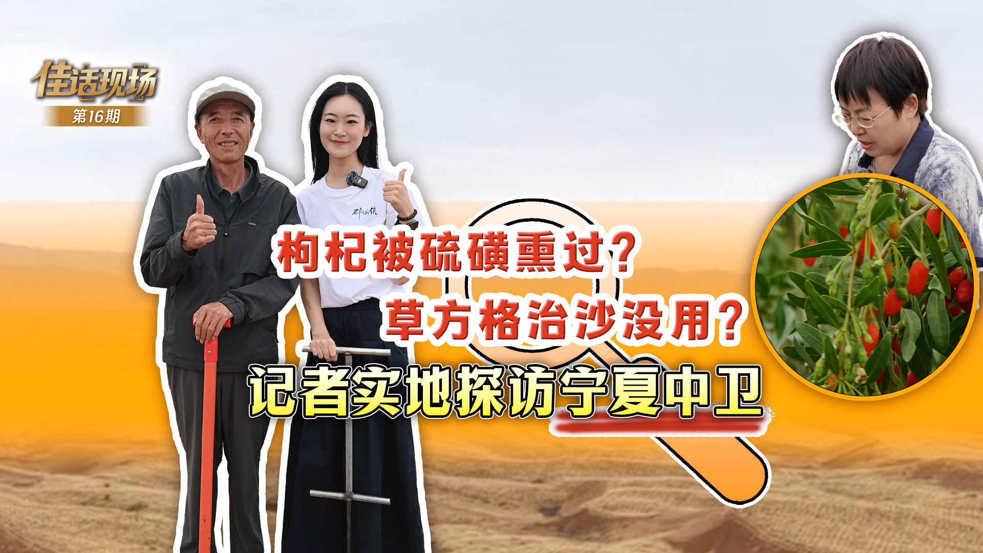 按一个中国原则依法管控台岛